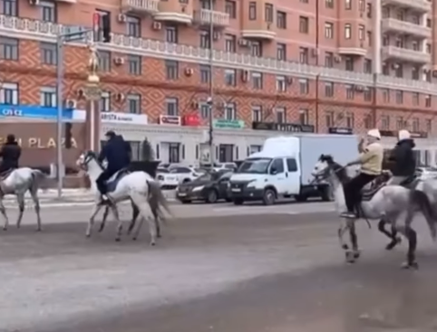 Ақтауда бір үйір жылқымен қалада жүрген мал иесі жазаланды