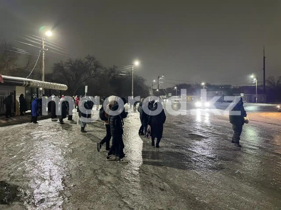 Оралдағы көктайғақ: ТЖД өкілдері пікір білдірді