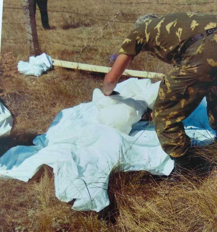 "Жылда біреудің аяғын, біреудің бас сүйегін тауып аламыз". Рақымжан Қошқарбаев ауылында бейітті су шайып кетуі мүмкін