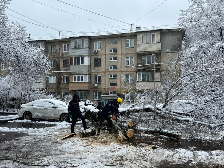 Алматыда ағаш бірнеше көлік үстіне құлады