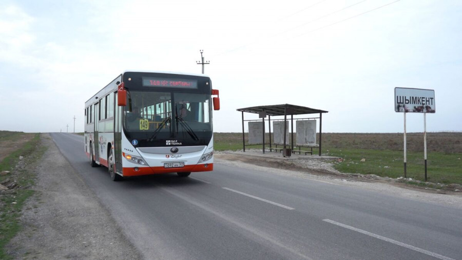 Шымкентте автобустарға тас лақтырған бұзақылар жазадан құтылып кетті