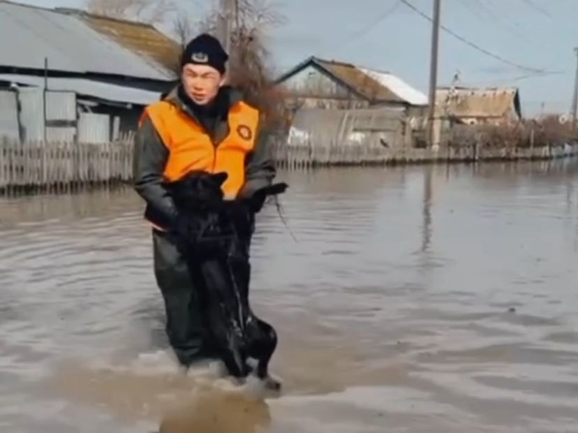 Солтүстік Қазақстанда тағы бір елді мекеннің тұрғындары эвакуацияланып жатыр