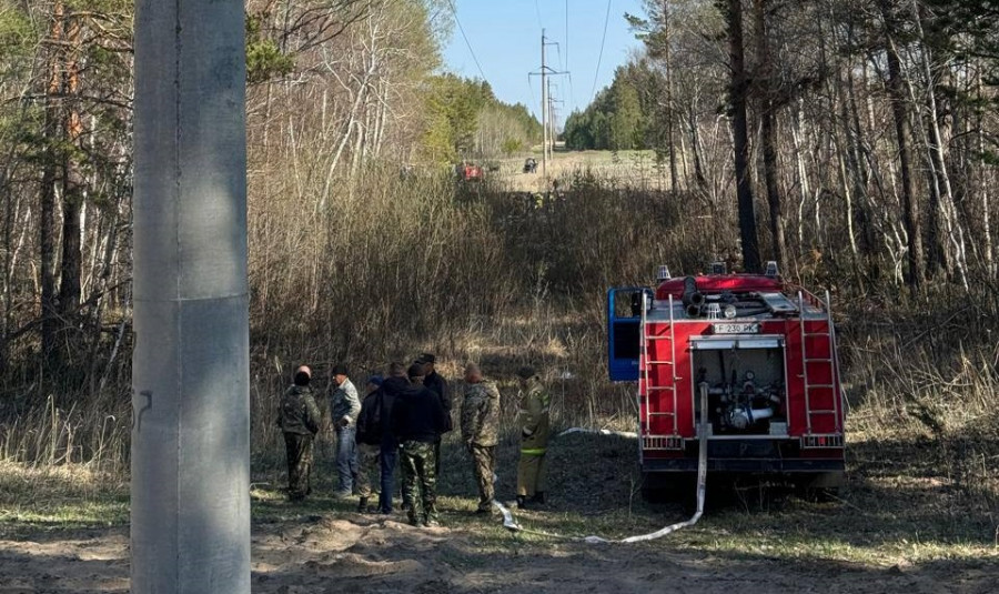 Абай облысында орман өрті неден шыққаны белгілі болды