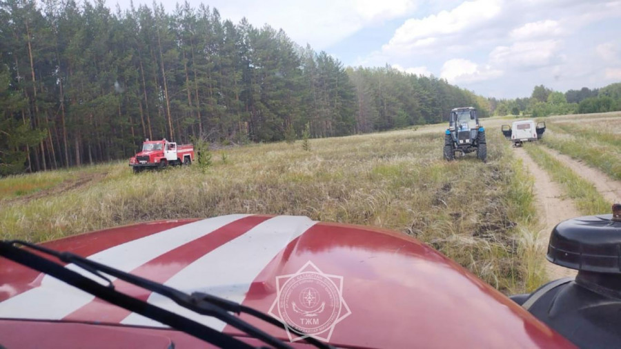 Абай облысында ормандағы өртке кінәлі адам ұсталып, жазаланды