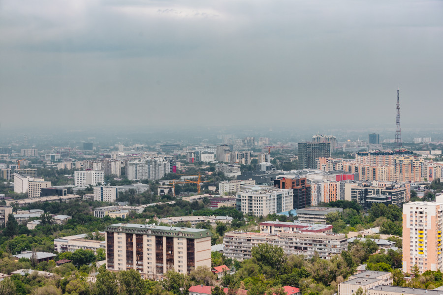 Алматыда "Eco Almaty" директоры жауапқа тартылды