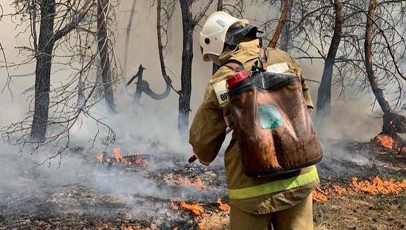 Қостанай облысындағы алапат орман өртіне тракторшы кінәлі болып шықты