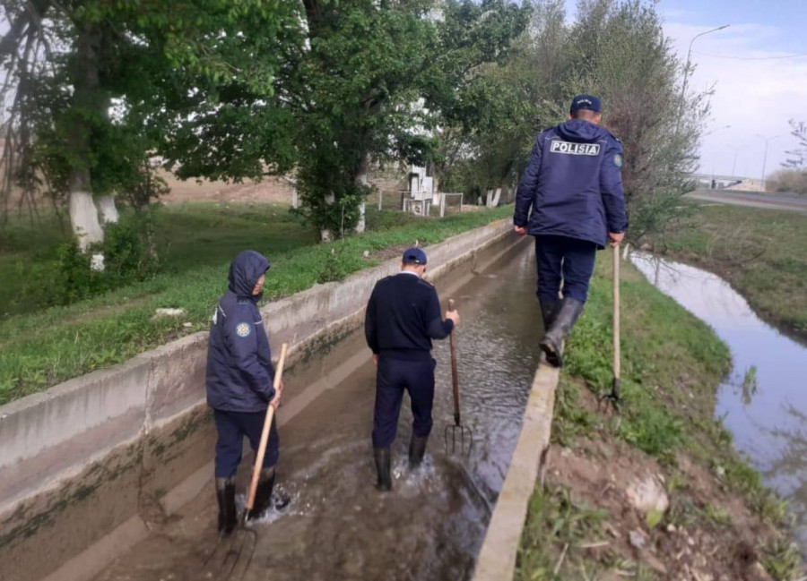 Түркістан облысында 11-сынып оқушысы адам өлтірді деген күдікпен қамауға алынды