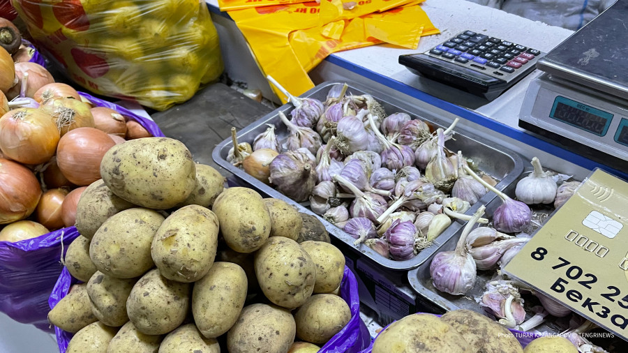 Тоқаев жұрттың ай сайынғы қаржысының тең жартысынан көбі азық-түлікке кететінін айтты