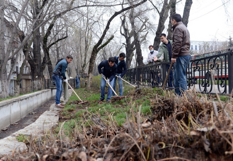 Алматыда Almaty Clean & Green жалпықалалық сенбілік өтеді