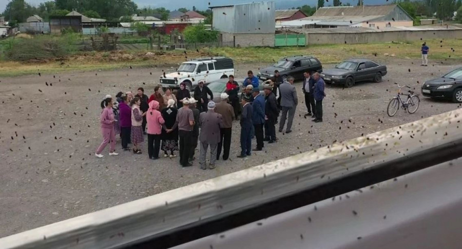 Нәрестенің нәжісінен шықты: Жамбыл облысында тұрғындар белгісіз зиянкестерден шошып отыр