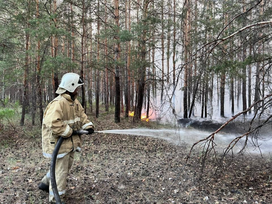 Абай облысындағы орман өрті сөндіріліп, 277 тұрғын үйіне оралды