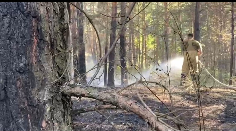 Ақмолада орман өртін тікұшақпен сөндіруге мәжбүр болды