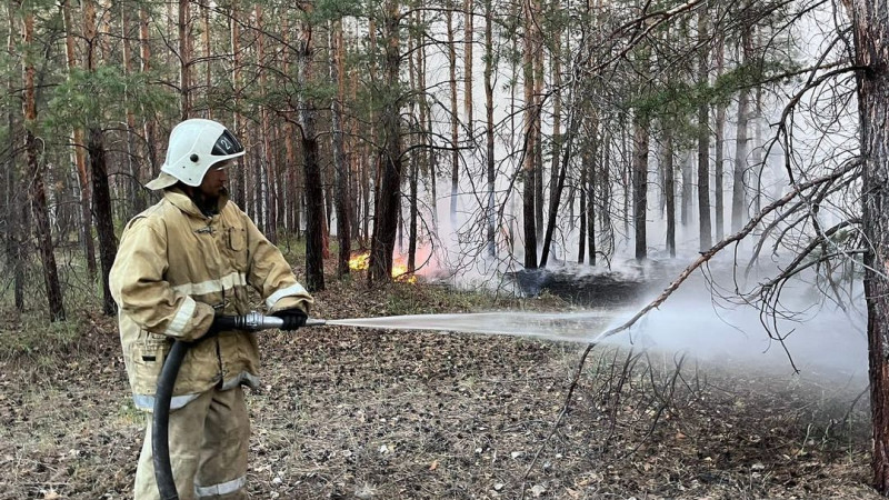 Эколог орман алқаптарында су қоймалары картасын дайындауды ұсынды