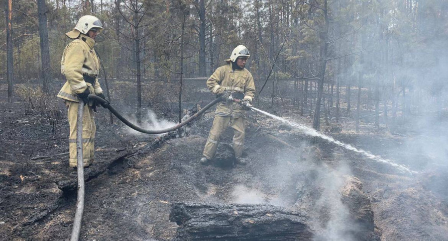 Абай облысындағы өрт: әуеден 486 рет су төгілді