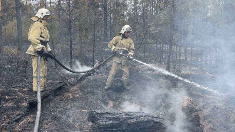 Жетісулықтарға Абай облысындағы өртке байланысты ескерту жасалды