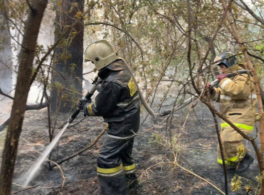 Жаңа министр Абай облысындағы өрт қашан сөндірілуі мүмкін екенін айтты