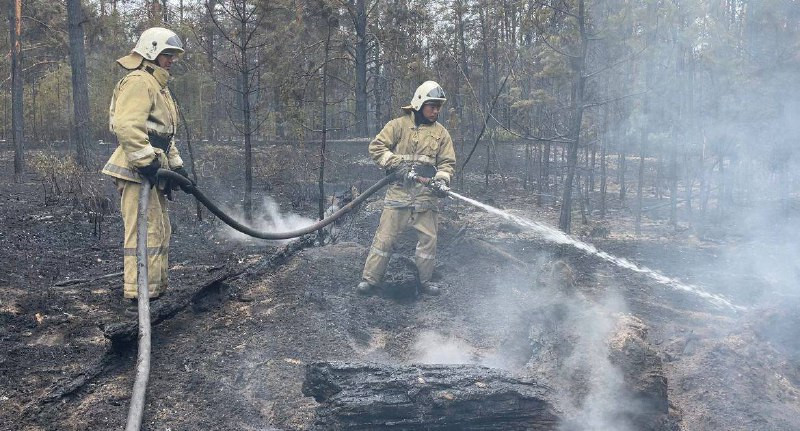 "Баламды тану мүмкін емес". Абай облысындағы өрттен қаза тапқан орманшының жақындары оқиға туралы айтты