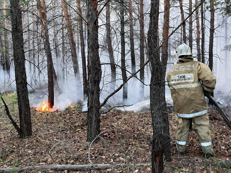 Депутат Сабильянов өртті анықтауда заманауи технологиялар мен сапалы инфрақұрылым болуы керегін айтты