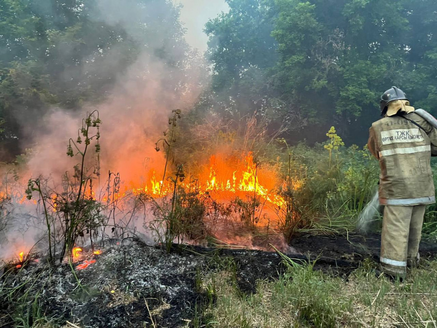 Абай облысындағы өрт кезінде ерлігі мен жанқиярлығы үшін бірнеше адам марапатталды