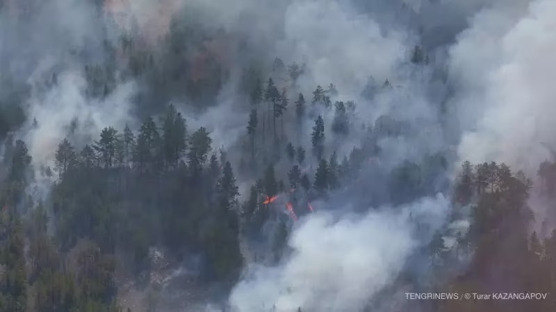 Абай облысындағы өрт: Бас прокуратура күдіктілерді атады