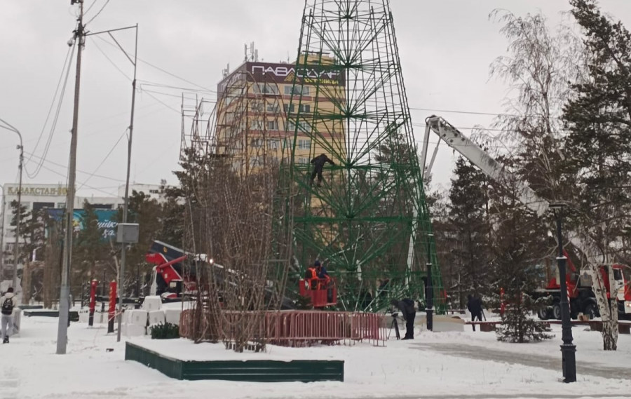 Павлодардағы бас шыршаның бағасы құзырлы орындардың назарын аудартып отыр