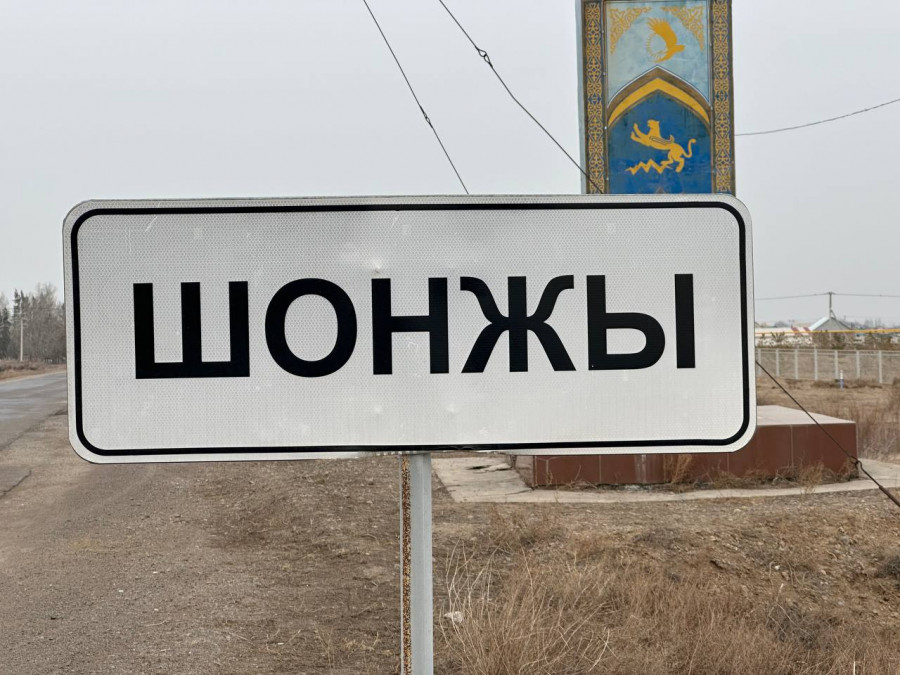 "Үстелдің астынан алып құйып отырды". Алматы облысында қолдан ішімдік жасап ішкен 3 адам қайтыс болды